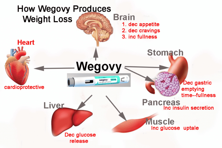 wegovy