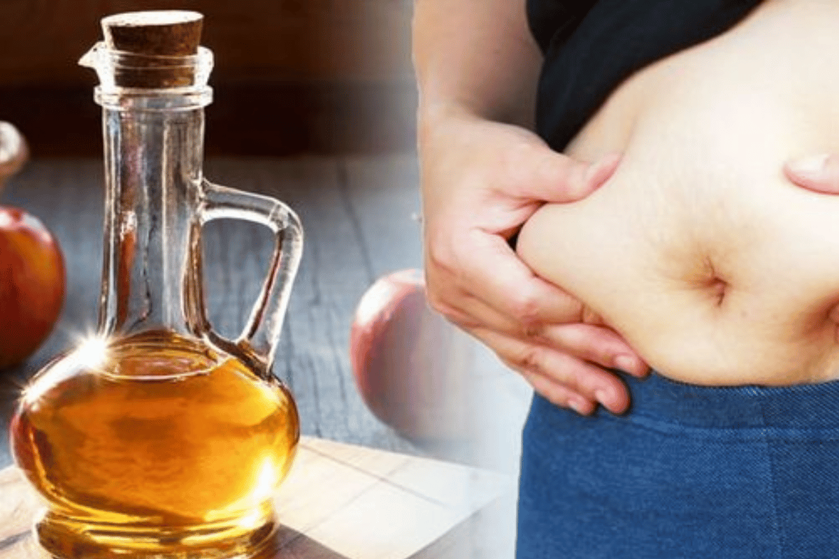 apple cider vinegar to lose belly fat 