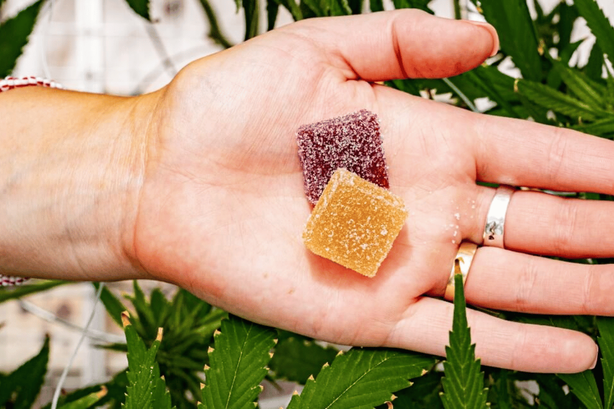 truth cbd gummies