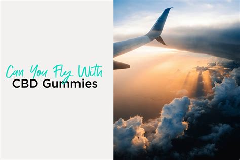 Can You Fly with CBD Gummies in the US? A Comprehensive Guide to Navigating Airport Security and Reaping the Benefits of CBD