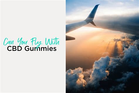 Can You Fly with CBD THC Gummies? Everything You Need to Know About CBD Edibles and Air Travel