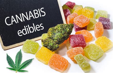 CBD Gummies vs Edibles: A Comprehensive Comparison of Effects, Benefits, and Differences (ilQan)