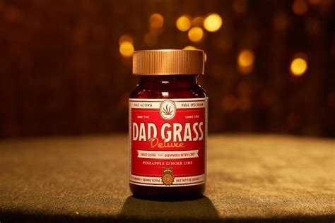 Dad Grass CBD Gummies: The Ultimate Relaxation Solution for Busy Dads