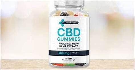 Experience the Bliss of Bloom CBD Gummies for Pain: A Soothing Solution for a Pain-Free Life