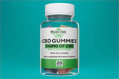 Experience the Bliss of CBD Gummies 500mg of CBD per Container: A Game-Changer for Holistic Wellness