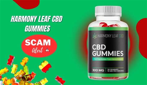 Experience the Bliss of Harmony Leaf CBD Gummy: A Comprehensive Review of the Best CBD Gummy for Relaxation and Pain Relief