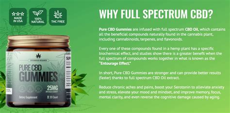 Experience the Bliss of Wellness with Dr. Juan Rivera CBD Gummies: A Game-Changer for a Healthier You