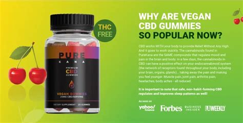 Experience the Power of Purekana Premium CBD Gummies Ingredients: A Comprehensive Review