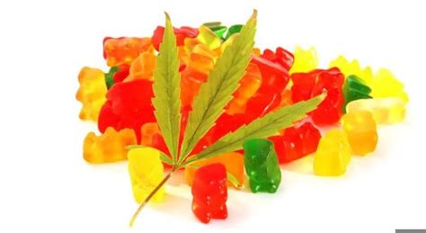 Experience the Power of Tom Selleck CBD Gummies: A Comprehensive Review of the Best CBD Gummies on the Market