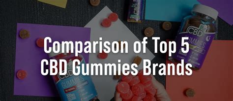 Exploring the Best CBD Gummies Brands: A Comprehensive Guide to Finding the Right Product for You