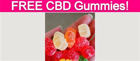 Get Your Hands on Free CBD Gummies Samples: Experience the Best of CBD with Our Top-Rated Products