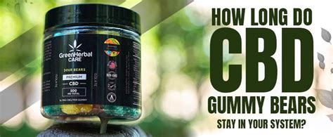 How Long Do CBD Gummy Bears Stay in Your System? A Comprehensive Guide to CBD Gummies