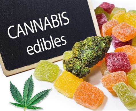 ¿Qué es CBD Gummies? Descubre la Verdadera Potencia de estos Gomas de CBD para una Vida Mejor