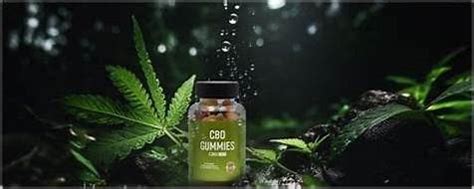 Say Goodbye to Hunger Pangs with CBD Gummies for Appetite: A Game-Changing Solution for a Healthier You