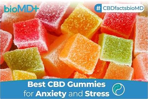 Soar to New Heights: The Ultimate Guide to Flying with CBD THC Gummies