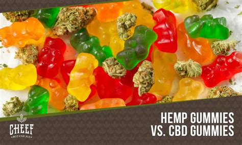 What's the Difference Between CBD Gummies and Hemp Gummies: A Detailed Guide to Making an Informed Decision