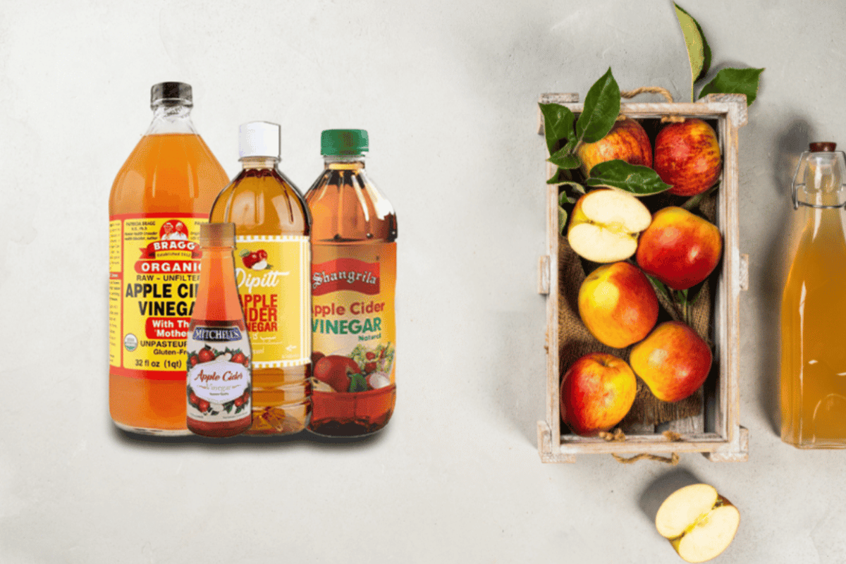 does apple cider vinegar help lose weight