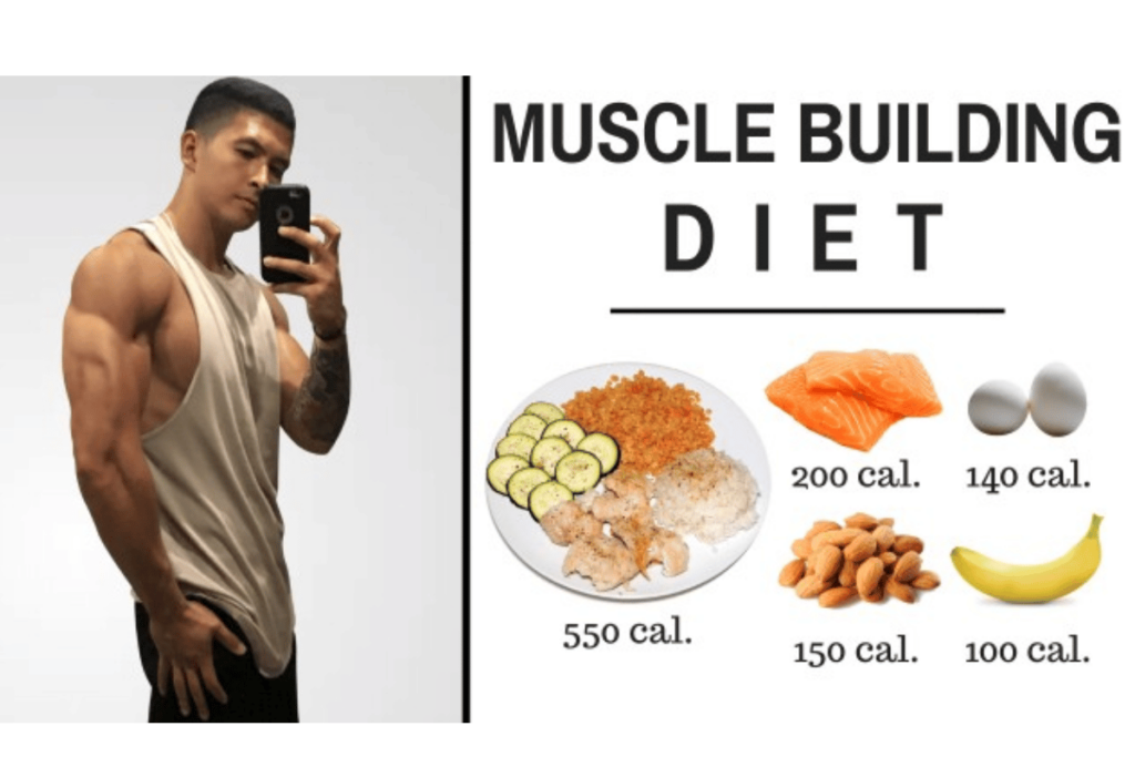 diet for weight loss and muscle gain