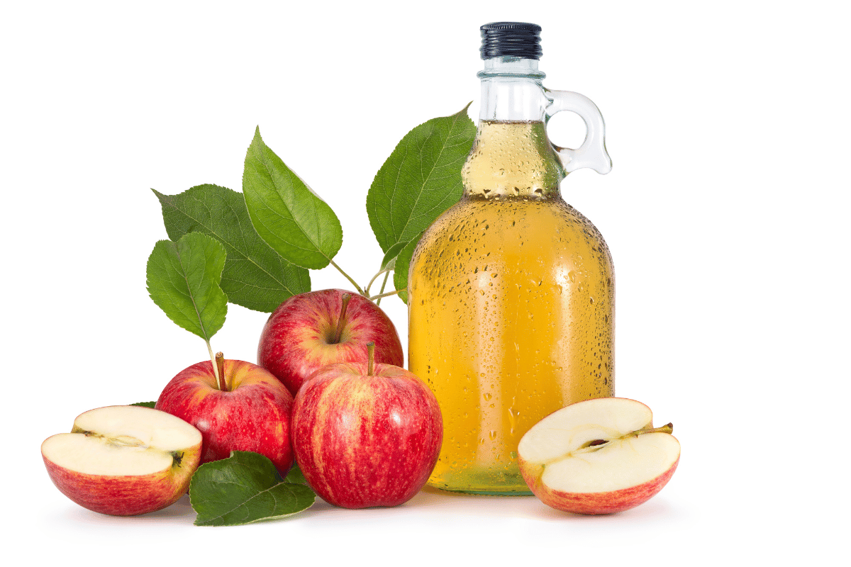 does braggs vinegar help you lose weight