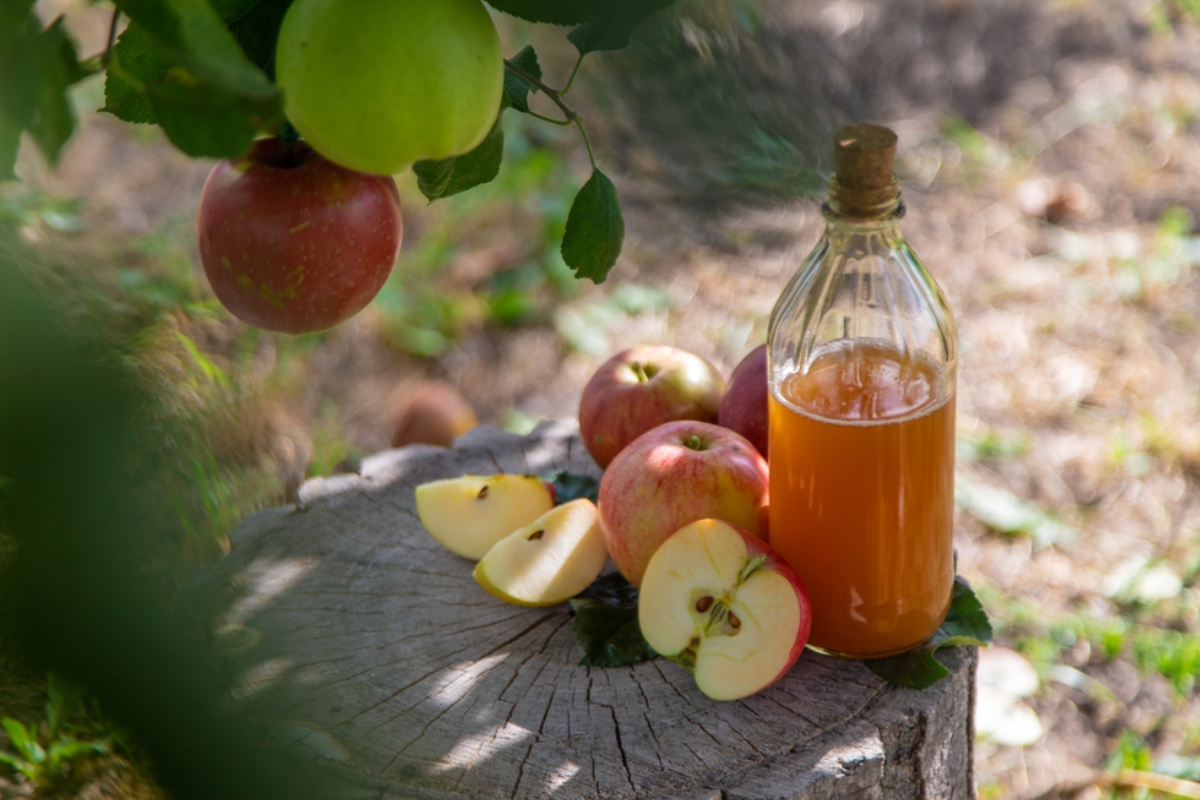 what do you mix with apple cider vinegar to lose weight