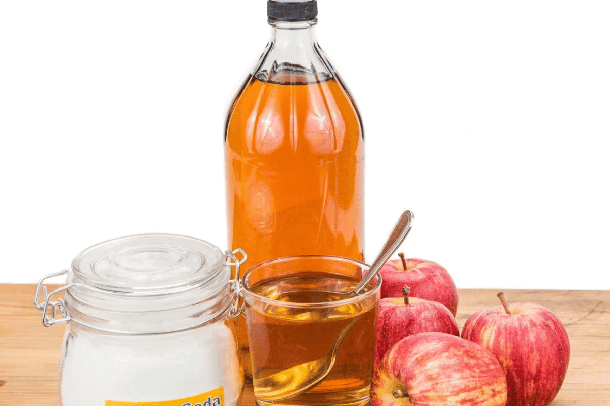 what do you mix with apple cider vinegar to lose weight