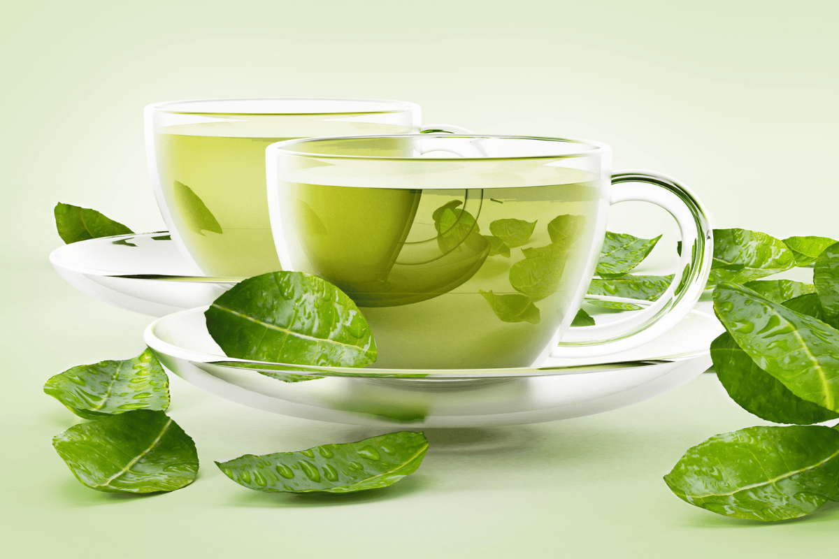 pure green tea for weight loss