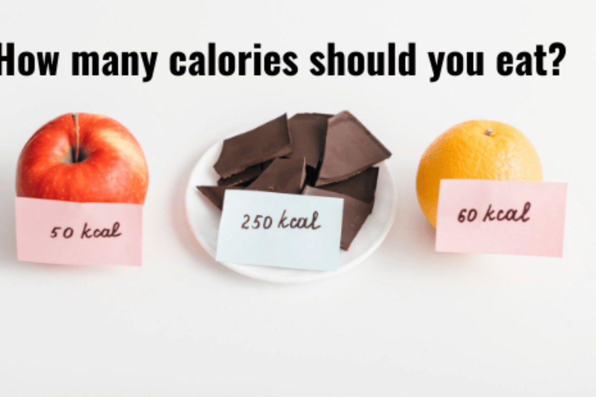 how many calories to eat to lose weight