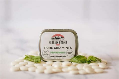 CBD Mints Review: A Comprehensive Analysis of the Best Products