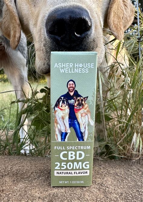 Comprehensive Asher House CBD Review: Evaluating the Effectiveness and Reliability of Their Products