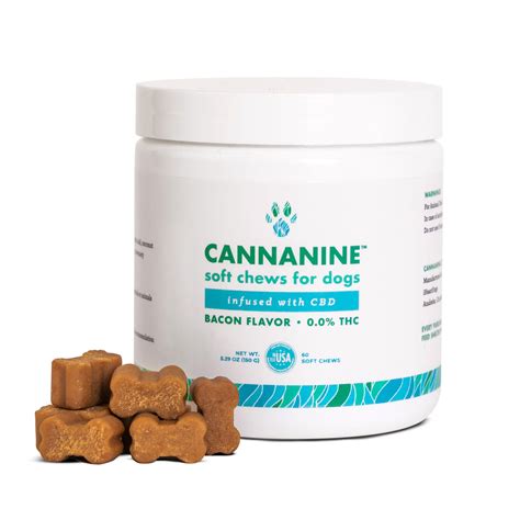 Comprehensive Guide to CBD Chews for Dogs Reviews: Finding the Best Supplements for Your Pet