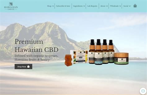CBDオイル（Focus）　Hawaiian Choice ハワイアンオイル LIFE smile MARCHÉ
