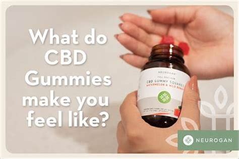 The Science Behind Science CBD Gummies: A Comprehensive Guide
