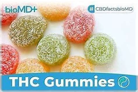 CBD Gummies vs THC Gummies Explained for Modern Wellness Users